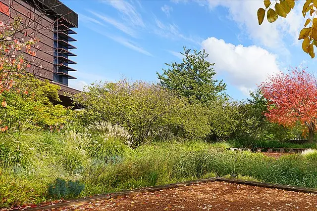 Photo extérieur du musée du quai Branly, où l'on voit, à gauche, une partie du bâtiment, et devant le jardin avec ses couleurs : vert, orange, sous un ciel bleue.