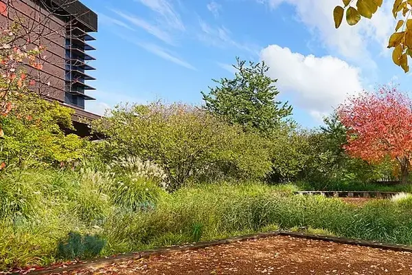 Photo extérieur du musée du quai Branly, où l'on voit, à gauche, une partie du bâtiment, et devant le jardin avec ses couleurs : vert, orange, sous un ciel bleue.